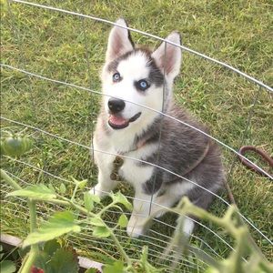 Meet your Posher, Andrew